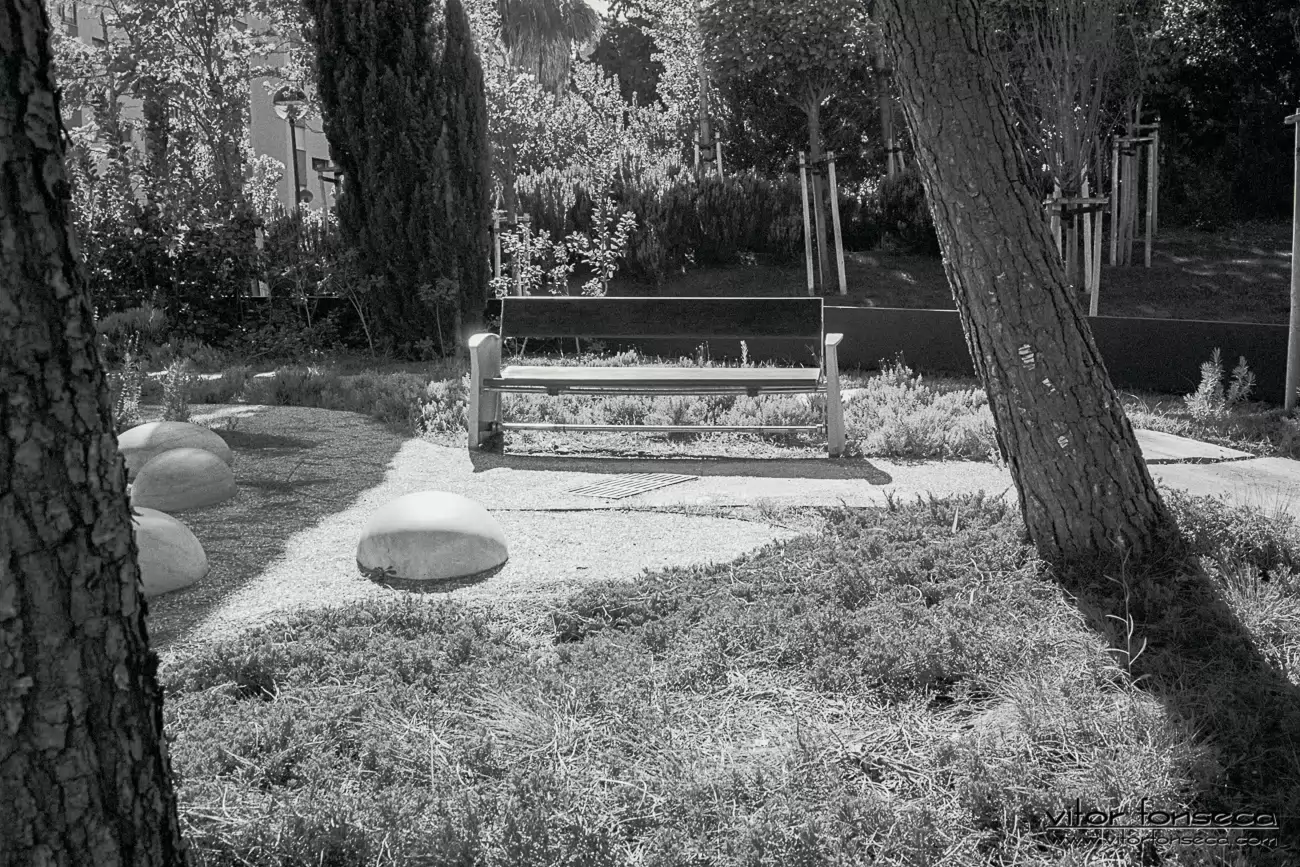 cityscape and landscape