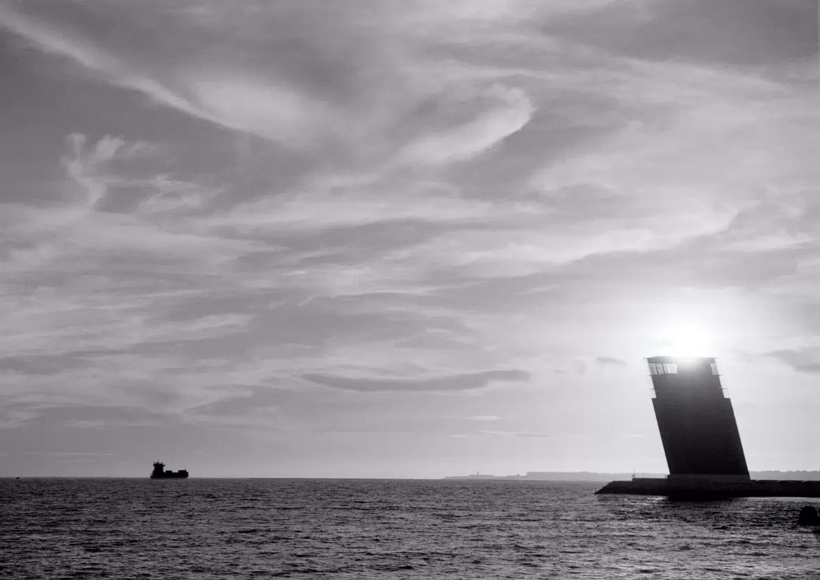 20090104-Image0019_NOG