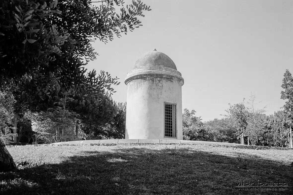 20200901-2020-024-0020-LINEAR16-PP1