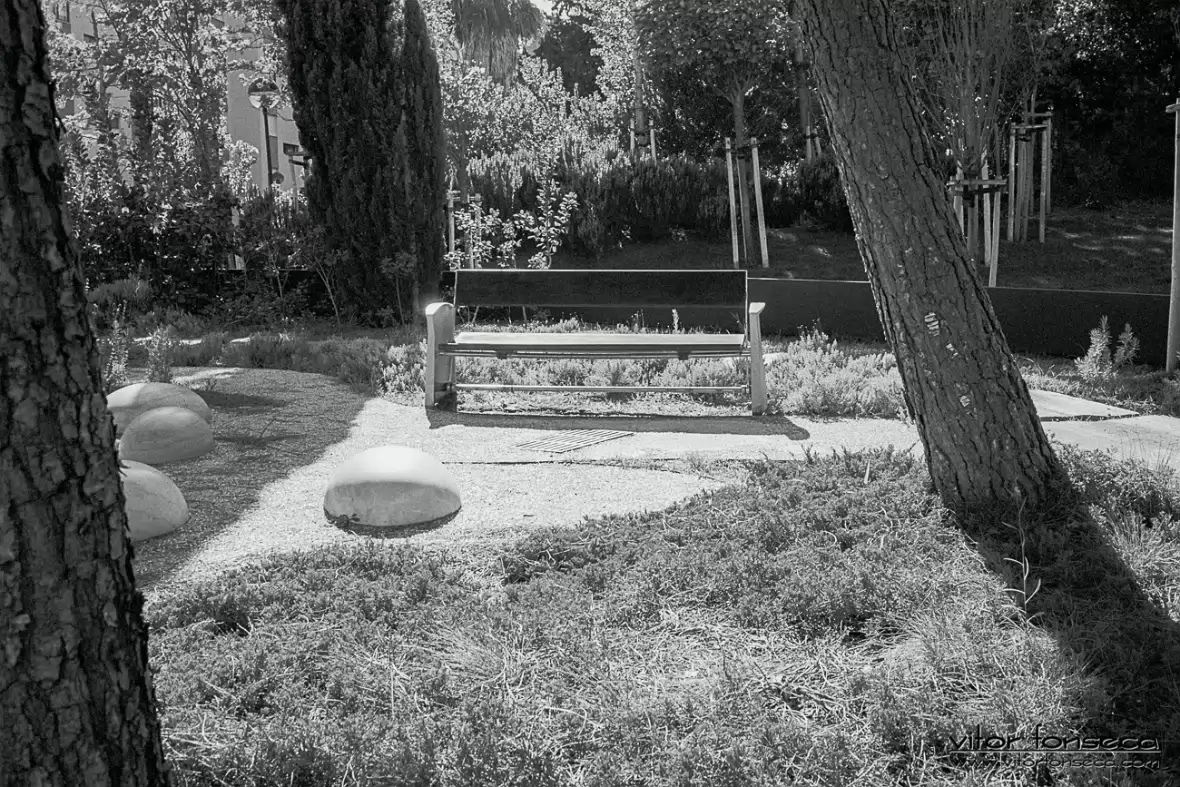 20200901-2020-024-0021-LINEAR16-PP1