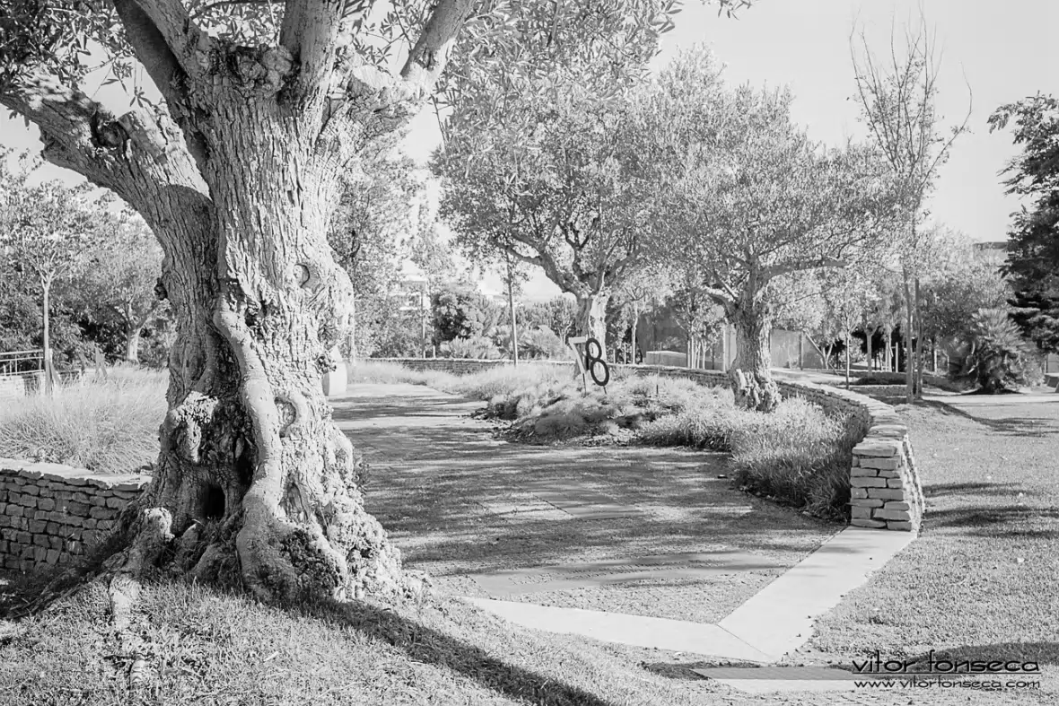 20200901-2020-024-0028-LINEAR16-PP1