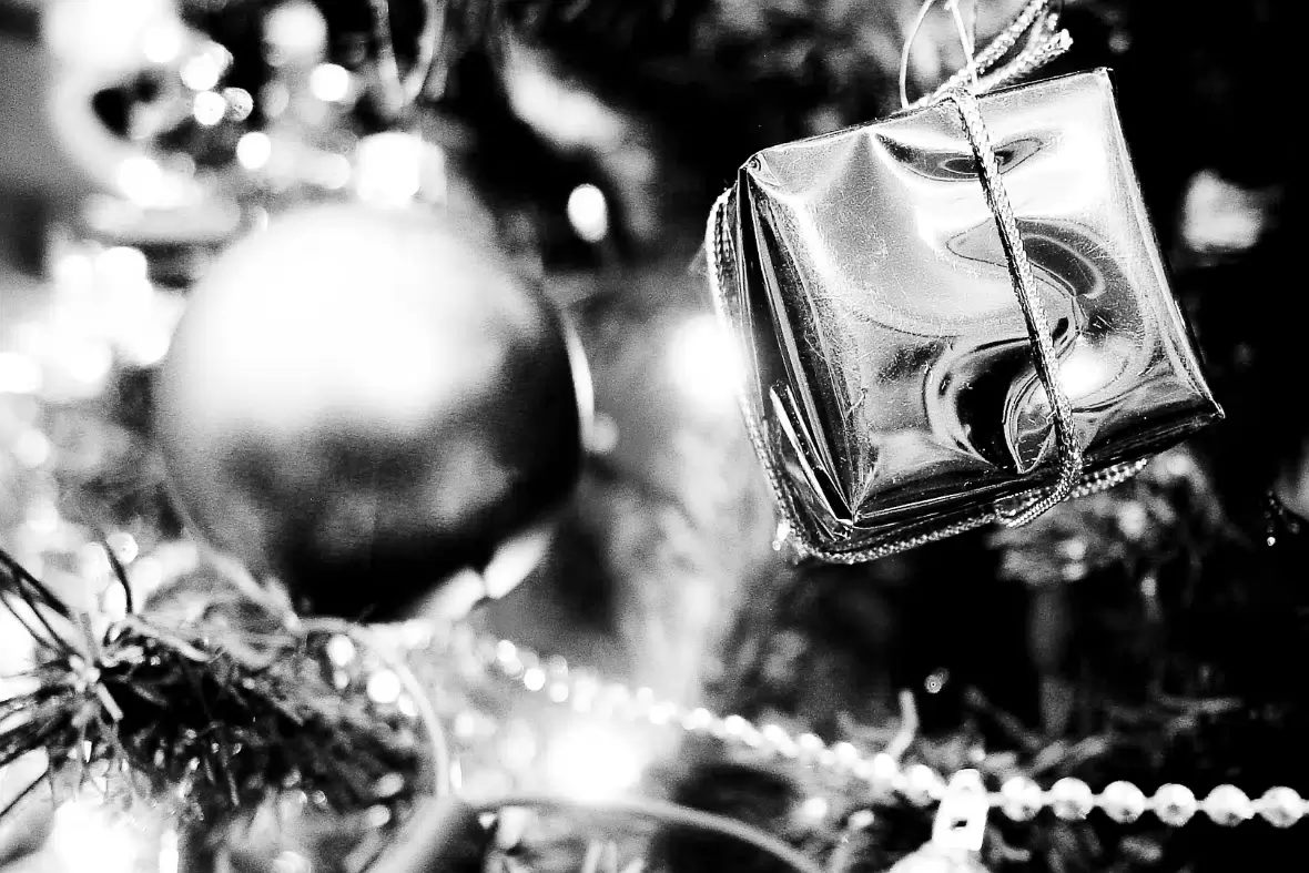 20051218-DSC06295_BW