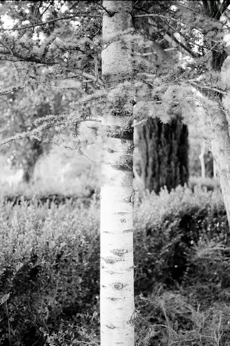 20200927-2020-024-0023-LN16-PP1