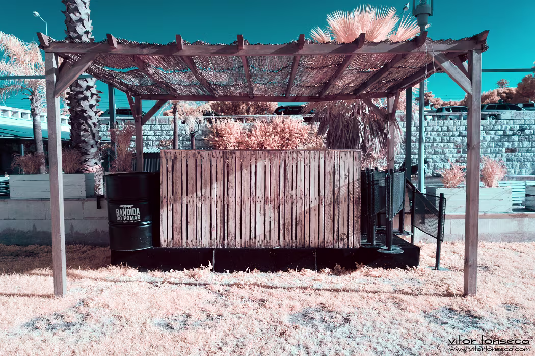 20190402-_DSC0013-Edit