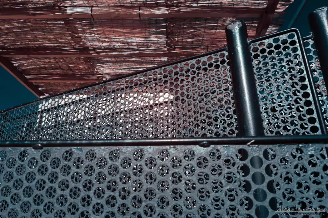 20190402-_DSC0015-Edit