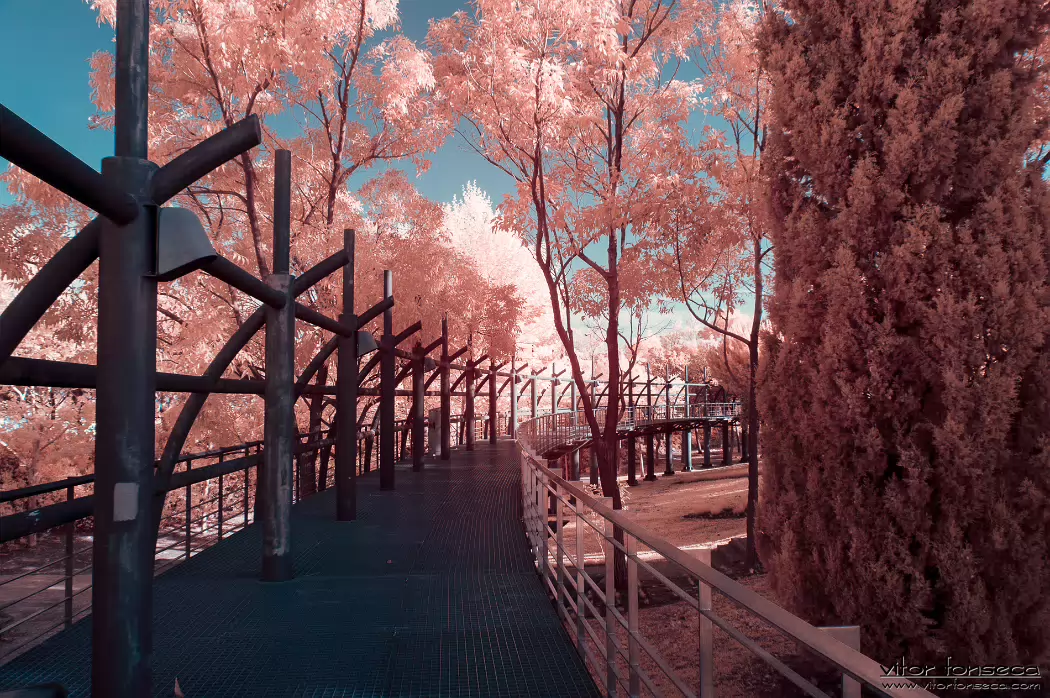 20190404-_DSC0085-Edit