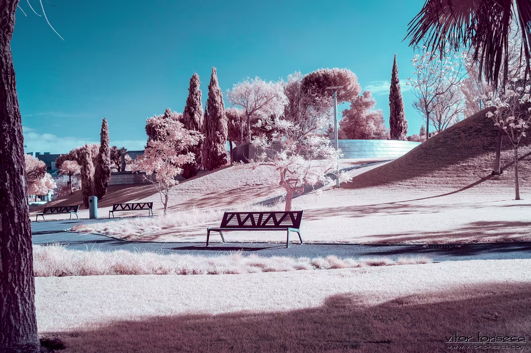 20190404-_DSC0139-Edit