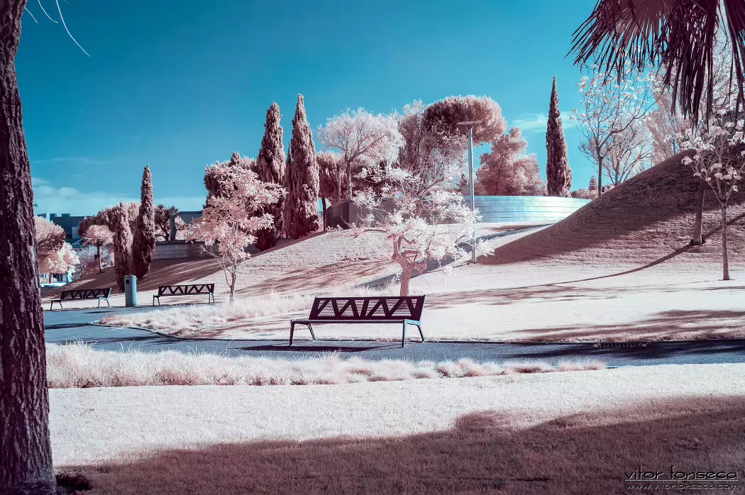 20190404-_DSC0139-Edit