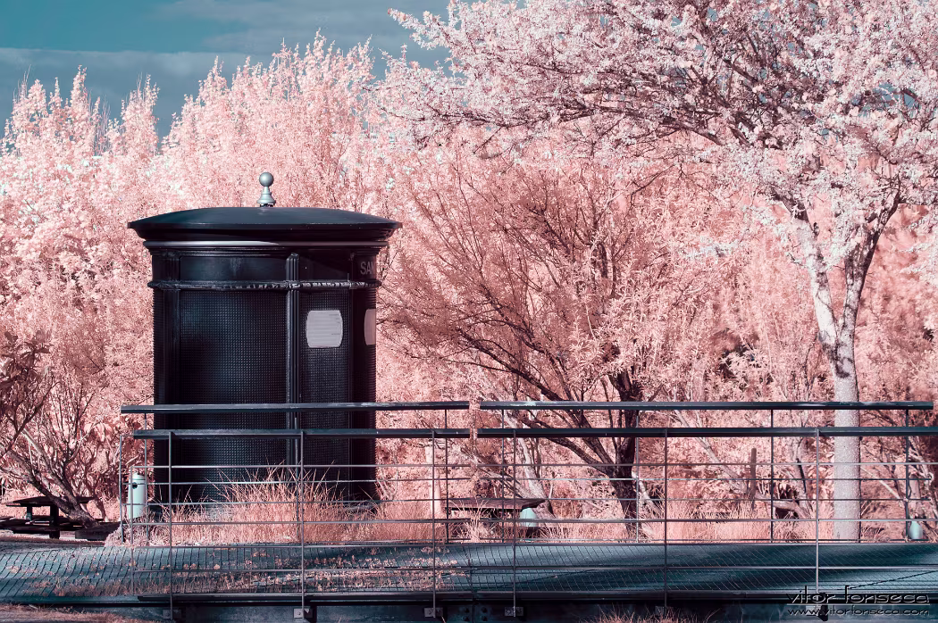 20190404-_DSC0145-Edit