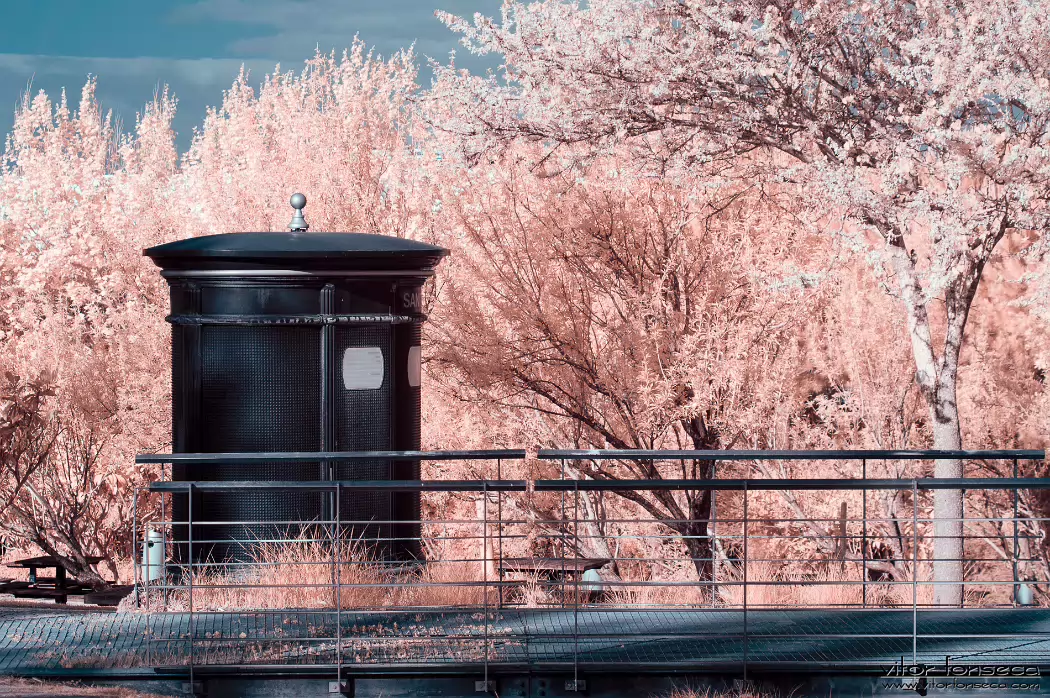 20190404-_DSC0145-Edit