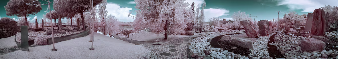 20190405-_DSC0188-Pano-Edit