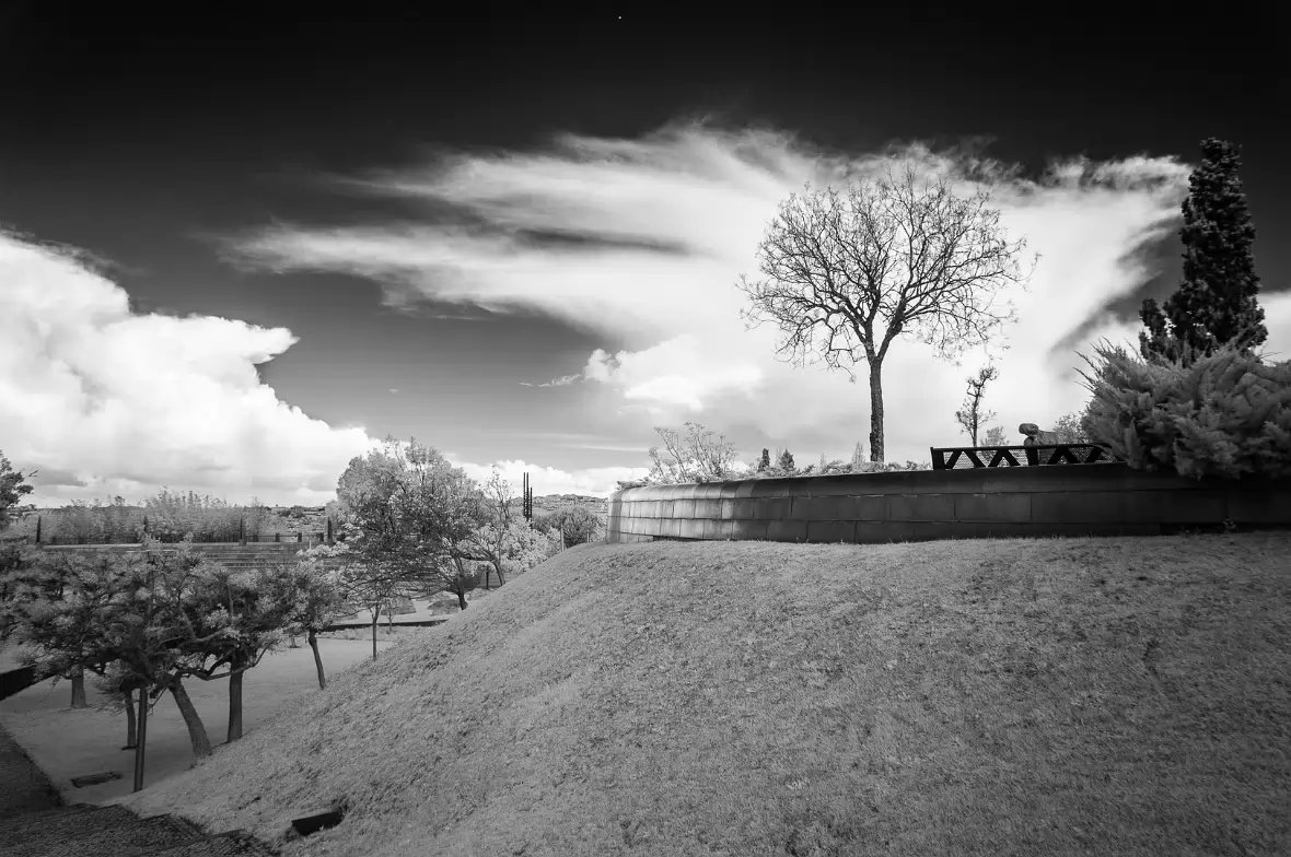 20190405-_DSC0209-Edit