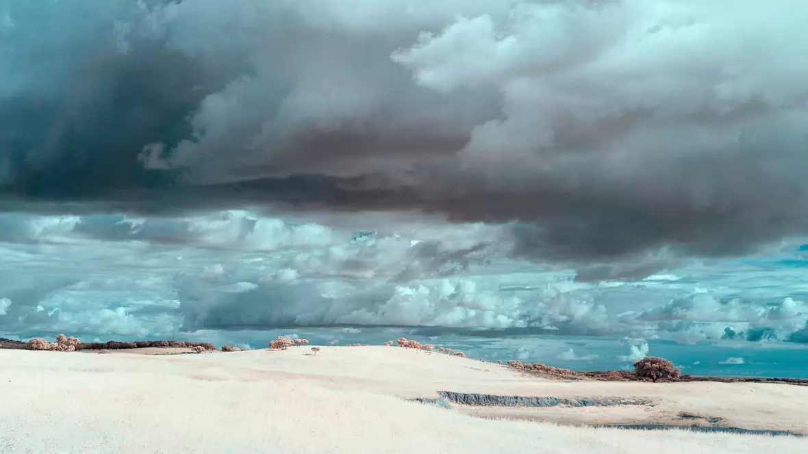 20190419-_DSC0316-Edit