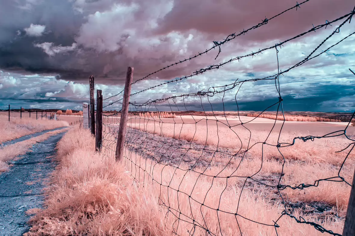 20190419-_DSC0351-Edit