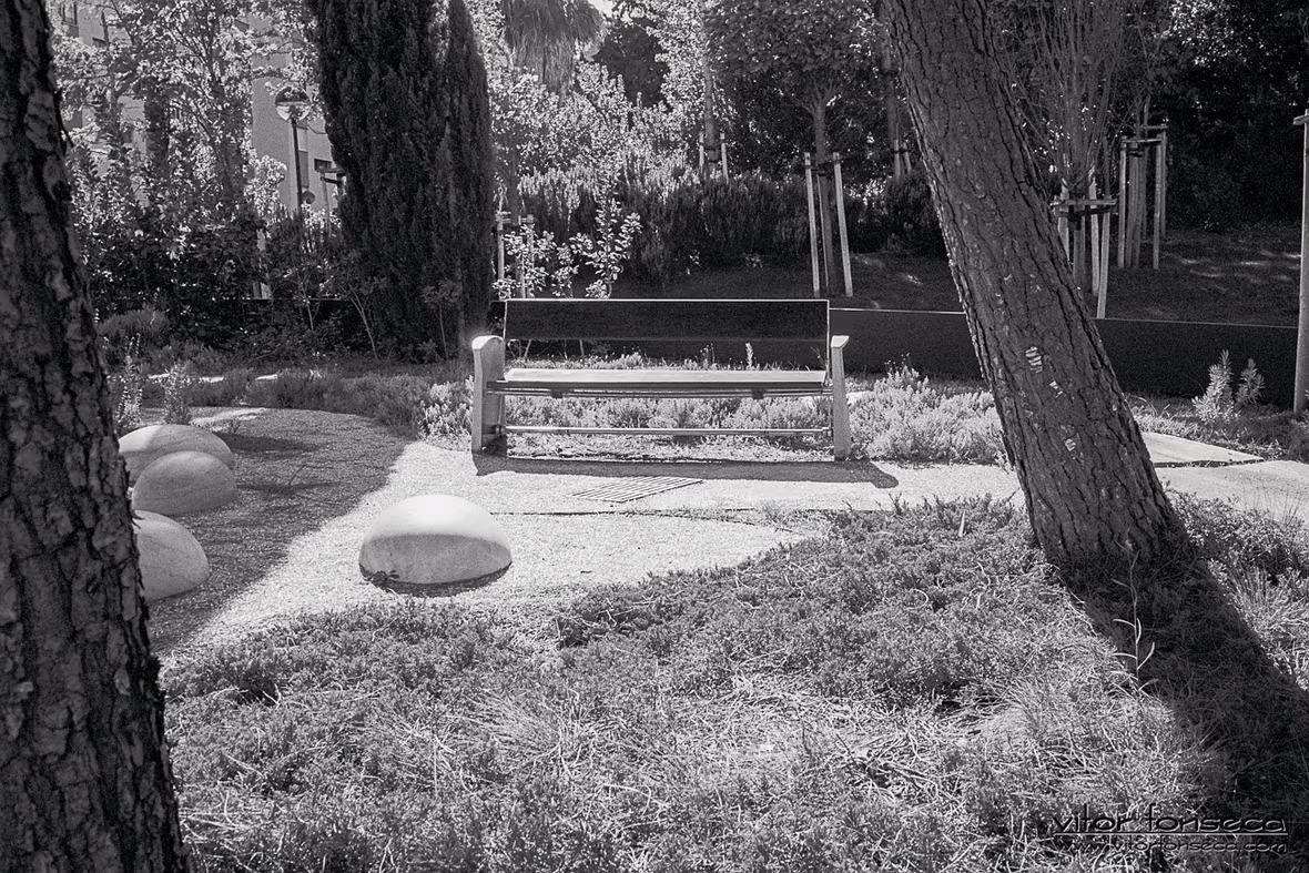 cityscape and landscape