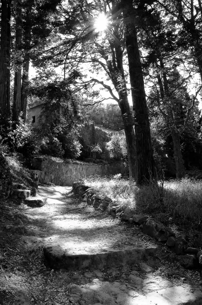 20080820-PICT9388_BW